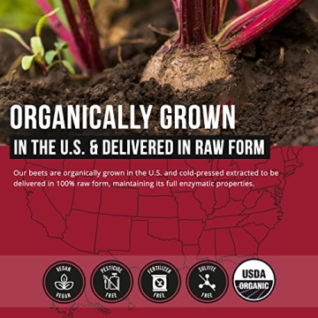 BioBeet® Max Strength Beet Root Powder for Circulation