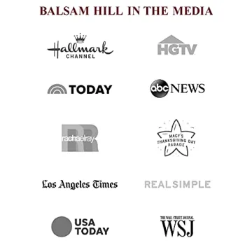 Balsam Hill 120-Piece Deluxe Rolling Ornament Storage Chest