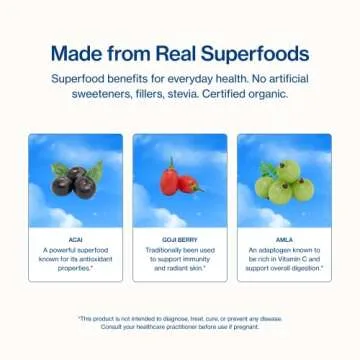 Sunwink Berry Healthy Skin Superfood Powder | Superfood Drink Mix for Radiance Glow & Hydration | Superfood Hydration Powder with Acai, Goji Berry, Amla, Raspberry, & Pineapple | 4.2 oz, 20 Servings