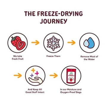 NATiERRA Organic Freeze-Dried Strawberries - Healthy Snack