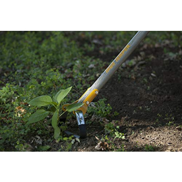 True Temper Looped Action Hoe Cultivator for Efficient Weeding