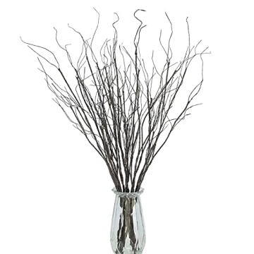 Lifelike Lifelike Dry Curly Willow Branches for Decor
