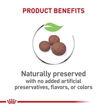 Royal Canin Size Health Nutrition Medium Breed Dry Puppy Food, Supports Brain Development, Immune Support and Digestive Health, 17 lb Bag