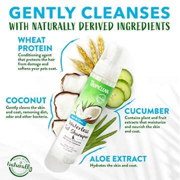 TropiClean No Rinse Waterless Cat Shampoo | Dandruff Treatment | Moisturizing Dry Shampoo for Dry Skin | USA Made | Aqua de Coco Scent | 7.4oz.