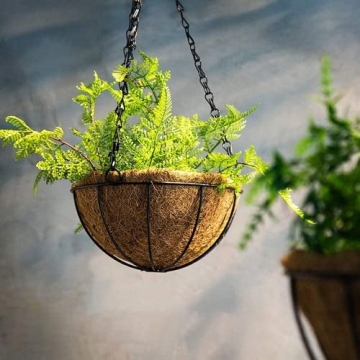 Wizdar 2PCS Metal Hanging Planters Basket with Coco Coir Liner 14 Inch Round Wire Plant Holder Porch Decor Flower Pot Hanger Garden Decor Watering Hanging Baskets