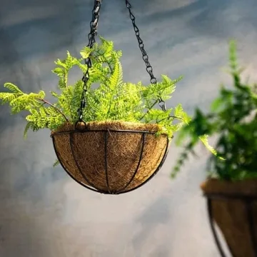 Wizdar 2PCS Metal Hanging Planters Basket with Coco Coir Liner 14 Inch Round Wire Plant Holder Porch Decor Flower Pot Hanger Garden Decor Watering Hanging Baskets