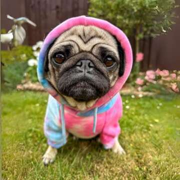 Spark Paws Dog Hoodie - Premium Comfort & Fit for All Breeds