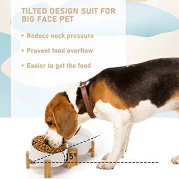 SPUNKYJUNKY Slanted Ceramic Dog Bowl Set with Stand