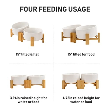 SPUNKYJUNKY Slanted Ceramic Dog Bowl Set with Stand