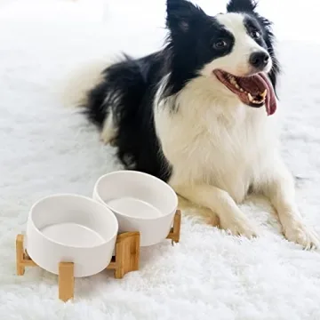 SPUNKYJUNKY Slanted Ceramic Dog Bowl Set with Stand