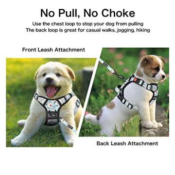 Petmolico No Pull Dog Harness Set for Medium Dogs