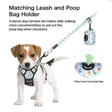 Petmolico No Pull Dog Harness Set for Medium Dogs