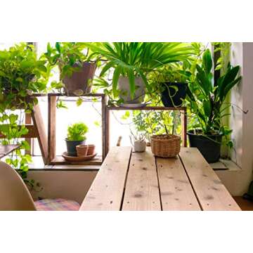 Indoor Plant Food | All-purpose House Plant Fertilizer | Liquid Common Houseplant Fertilizers for Potted Planting Soil | by Aquatic Arts