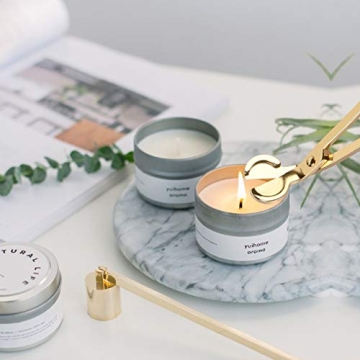 Elegant Harapu Candle Wick Trimmer in Polished Gold Finish