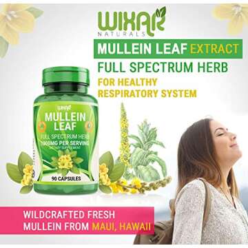 WIXAR NATURALS Mullein Leaf Capsules - 90 Capsules - Herbal Supplement Supports Healthy Respiratory ...