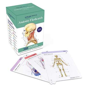 Anatomy Flashcards with Precise Drawings and Descriptions