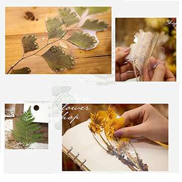 MAXLEAF Transparent Waterproof Stickers Set - 48PCS Vintage Plants Flowers Collection Big Size Waterproof Stickers for Decoration Planners Scrapbook Laptops (Dried Flowers)