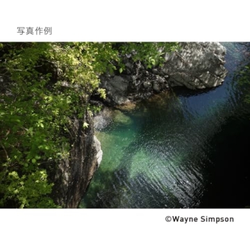 Sigma 24-70mm F2.8 DG DN Art Lens for Sony E