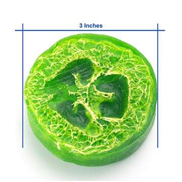 Crafters Elements Round Soap Mold Shaving Shave Mold Luffa Mold Disk Lotion Shampoo Bar Soap Making 12 Cavity 4oz Bars Resin