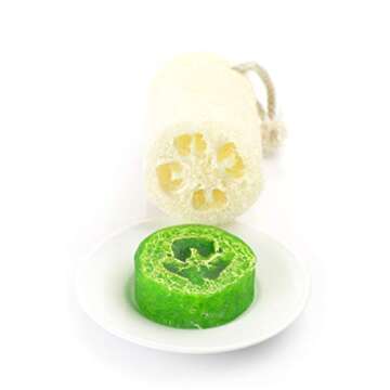 Crafters Elements Round Soap Mold Shaving Shave Mold Luffa Mold Disk Lotion Shampoo Bar Soap Making 12 Cavity 4oz Bars Resin