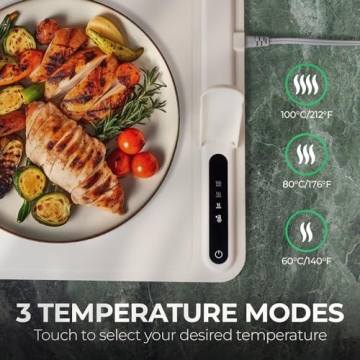 EconoHome Electric Warming Tray for Perfect Party Meals