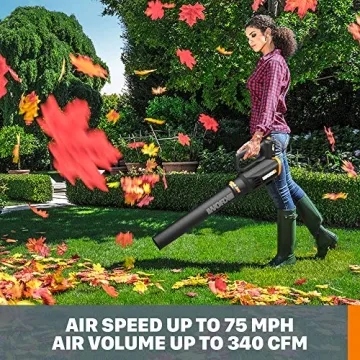Worx 20V String Trimmer Leaf Blower Bundle with Battery Charger