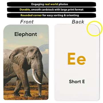 Think Tank Scholar Educational Flash Cards for Kids 2-6