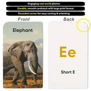 Think Tank Scholar Educational Flash Cards for Kids 2-6