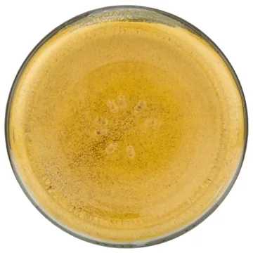 Gaia Herbs Golden Milk Powder for Stress Support