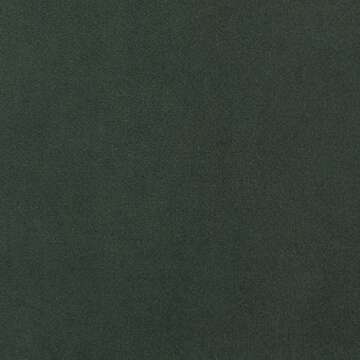 Amazon Brand – Rivet Aiden Mid-Century Modern Tufted Velvet Loveseat Sofa (74") - Hunter Green