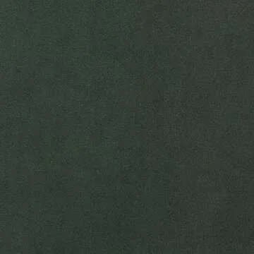 Amazon Brand – Rivet Aiden Mid-Century Modern Tufted Velvet Loveseat Sofa (74") - Hunter Green