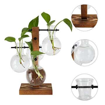 PAG Planter Terrariums Kit Desktop Hydroponics Air Plant Holder with 4 Bulb Beaker Glass Vase and Solid Wood Stand, Home Office Decoration Gardening Gift for Women