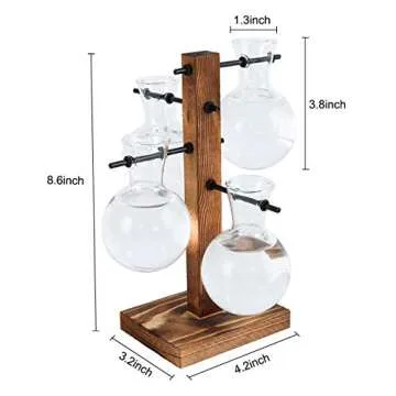 PAG Planter Terrariums Kit Desktop Hydroponics Air Plant Holder with 4 Bulb Beaker Glass Vase and Solid Wood Stand, Home Office Decoration Gardening Gift for Women