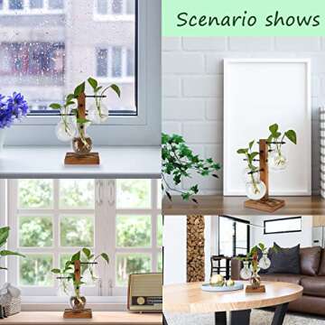 PAG Planter Terrariums Kit Desktop Hydroponics Air Plant Holder with 4 Bulb Beaker Glass Vase and Solid Wood Stand, Home Office Decoration Gardening Gift for Women
