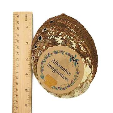 Abalone Shell 5 Inches or Larger - for Incense Holder for Smudging, Home Decor - Holds Incense, Trinkets, and More - Alternative Imagination