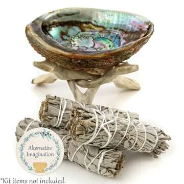 Abalone Shell 5 Inches or Larger - for Incense Holder for Smudging, Home Decor - Holds Incense, Trinkets, and More - Alternative Imagination