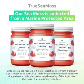 TrueSeaMoss Wildcrafted Irish Sea Moss Gel - Made with Dried Seaweed - Seamoss, Vegan-Friendly, Antioxidant Supports Digestion - Made in USA (Strawberry, Pack of 1)