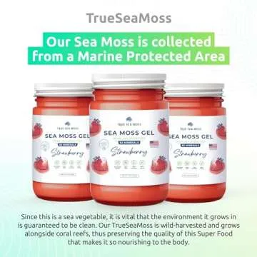 TrueSeaMoss Wildcrafted Irish Sea Moss Gel - Made with Dried Seaweed - Seamoss, Vegan-Friendly, Antioxidant Supports Digestion - Made in USA (Strawberry, Pack of 1)