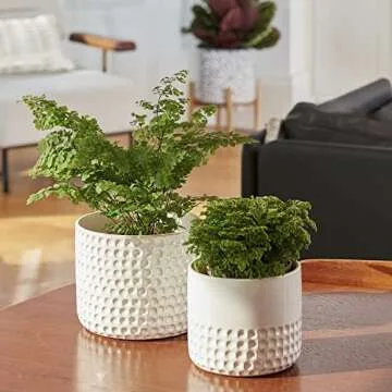 La Jolie Muse Ceramic Planter Set - Elegant Indoor Pot