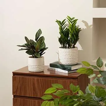 La Jolie Muse Ceramic Planter Set - Elegant Indoor Pot