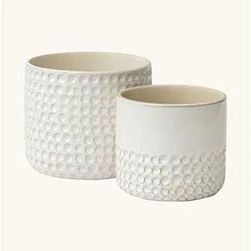 La Jolie Muse Ceramic Planter Set - Elegant Indoor Pot
