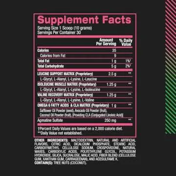 BPI Sports Best BCAA - BCAA Powder Post Workout Sports Drink with Branched Chain Amino Acids for Hydration & Recovery, for Men & Women - Watermelon Ice - 30 Servings