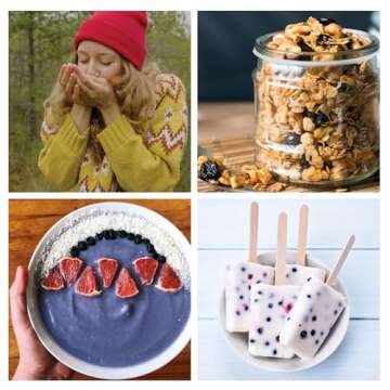 Wilderness Poets Oregon Blueberries (Sweetened with Apples) - Certified Organic, Whole Dried Fruit (...