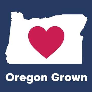 Wilderness Poets Oregon Blueberries - Organic Whole Dried Fruit