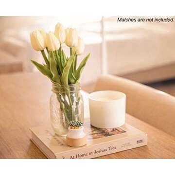 Demi's Home Match Striker - Set of 2 - White - (Use Strike Anywhere Matches Only - Not Included)