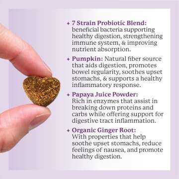 Dr. Harvey's Digestive Probiotic Soft Chews for Dogs, 7 Probiotics for Gut Health, Diarrhea and Bowel Support, Peanut Butter Flavor (90 Chews)