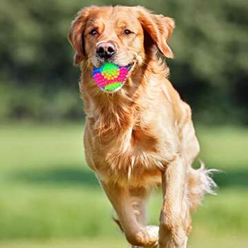 Light Up LED Dog Toy Balls for Fun Playtime
