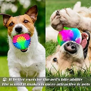 Light Up LED Dog Toy Balls for Fun Playtime