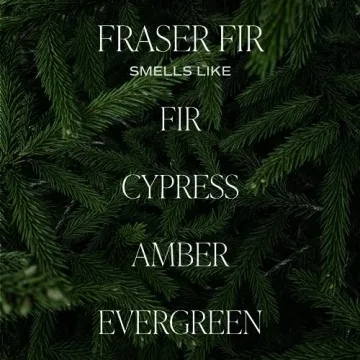 Fraser Fir Soy Candle with Cedar and Evergreen Scent