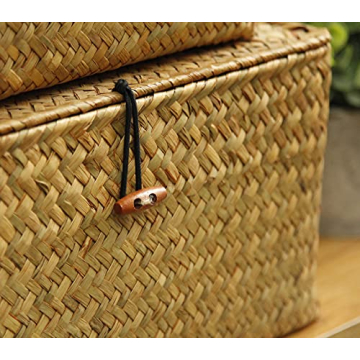 FEILANDUO Decorative Wicker Basket Set of 3 with Lids